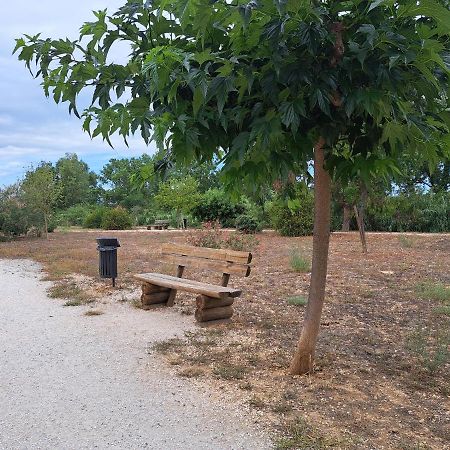 Studio Proche De Perpignan Peyrestortes Dış mekan fotoğraf