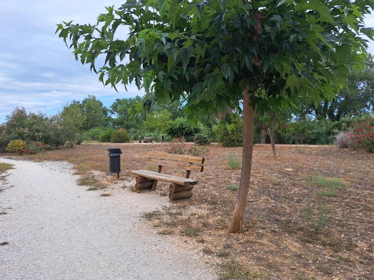 Studio Proche De Perpignan Peyrestortes Dış mekan fotoğraf